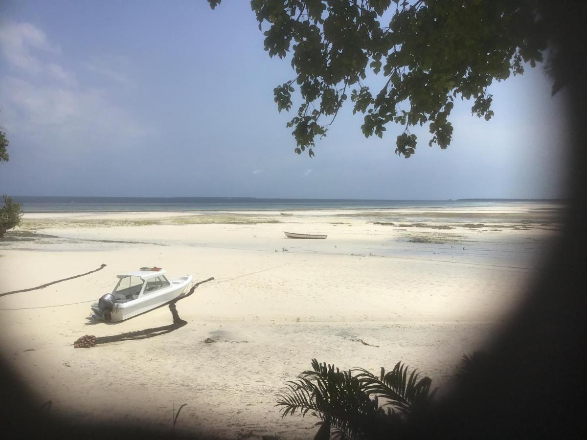 Zanzibar Kusini Beach Bungalows Hotel Kizimkazi Kültér fotó